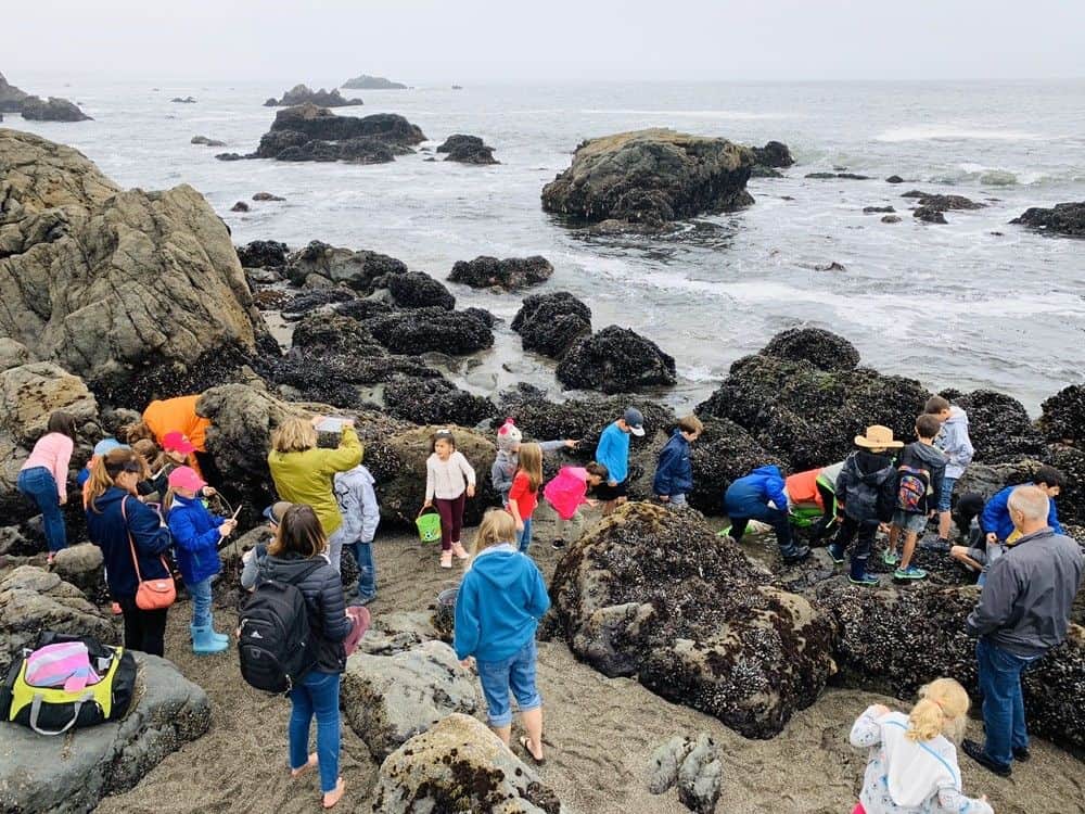 Children exploring tide pools at El Dorado Adventist School coastal trip, educational outdoor activity.