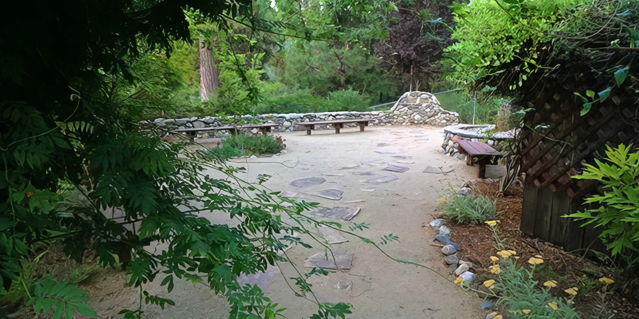 Serene outdoor space at El Dorado Adventist School with benches and lush greenery, ideal for relaxation and outdoor learning.